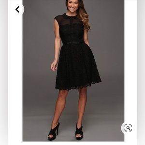 Ted Baker Ranni Black Lace Belted Sheer Yolk Dress 1